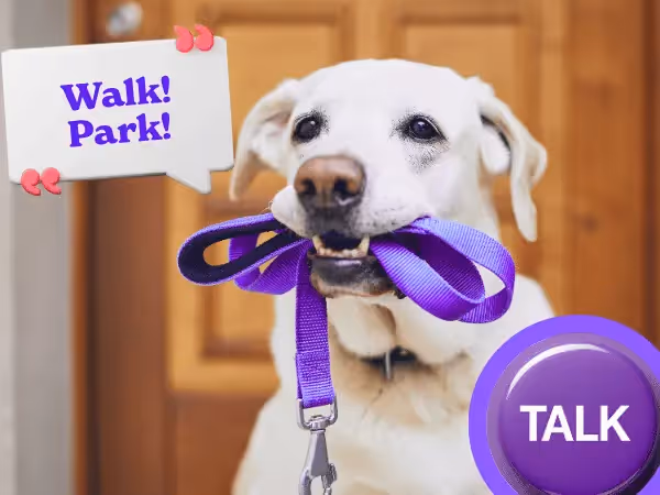 A dog saying “Walk! Park!” next to a talk button representing how to teach a dog to talk with buttons