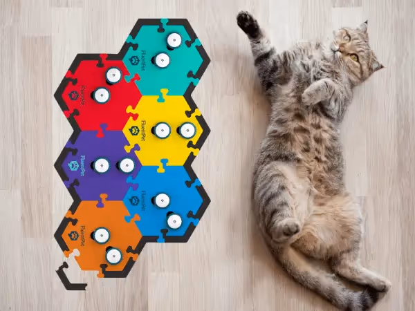A cat lying beside talk buttons for cats, representing the process of how to teach my cat to talk with buttons