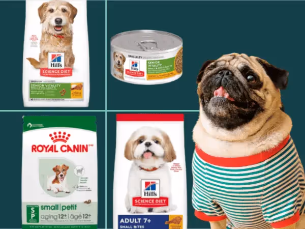 A small dog sitting next to four examples of senior dog food for small dogs