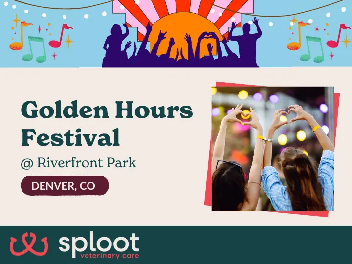 Join Sploot at Golden Hours Festival for music, pup-cups, cooling stations & more fun for pups + parents! Sept 6, Denver.