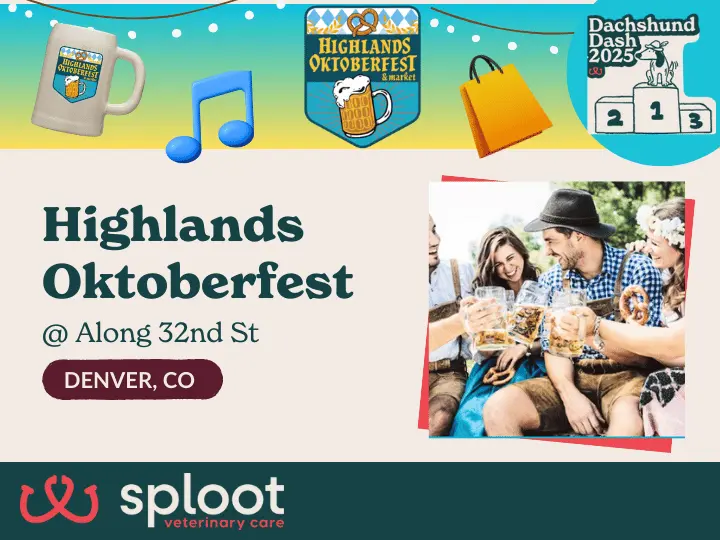Celebrate Highlands Oktoberfest 2025 with Sploot—dachshund race, giveaways, pup-cups & swag! Sept 13, Denver.