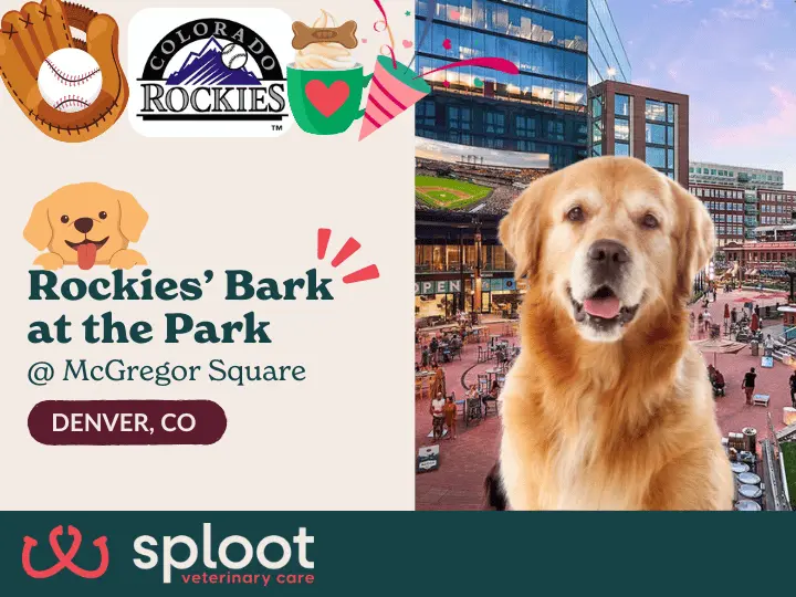 Celebrate Bark at the Park with Yappy Hour fun at McGregor Square before the Rockies game. Treats, drinks & pup-friendly vibes!