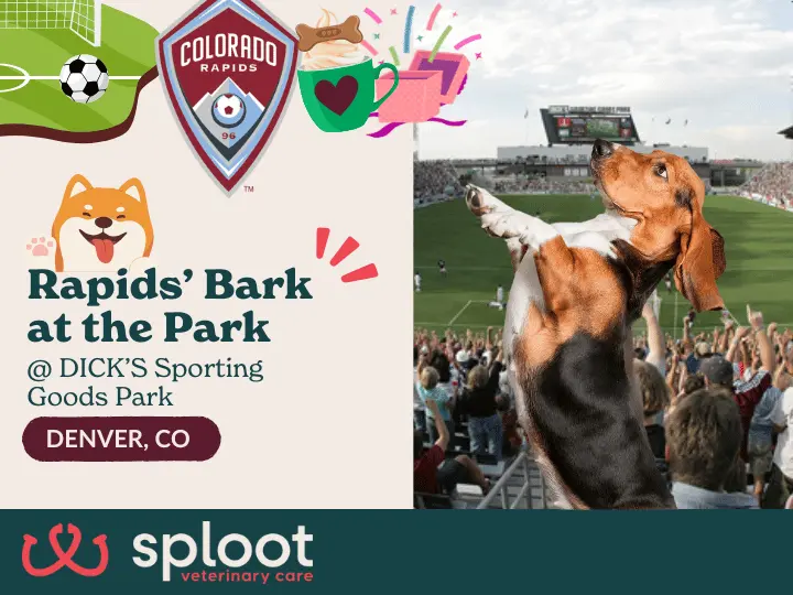 Bring your pup to the Rapids’ final Bark at the Park! Pup cups, swag, and Sploot’s vaccine raffle make it a night to remember!