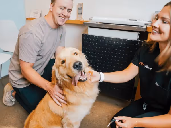 A veterinarian discussing the best dog food brands with a pet parent at Sploot Vets, a vet clinic in Denver, Colorado Springs, and Chicago