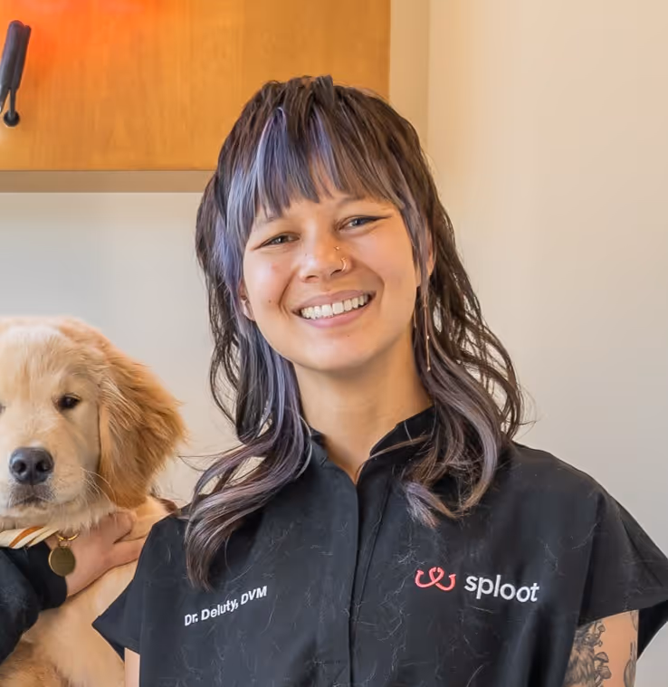 Veterinarians and Staff Profile Image - Sploot Veterinary Care - Denver, CO