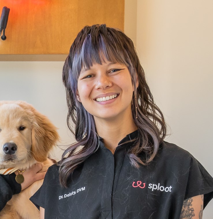  headshot of Dr. Jessica Apted, DVM, the compassionate Medical Director of Sploot