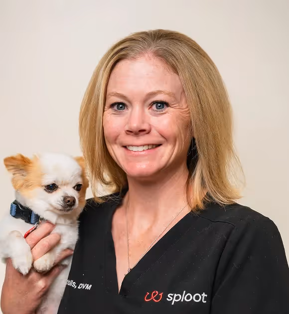  headshot of Dr. Jessica Apted, DVM, the compassionate Medical Director of Sploot