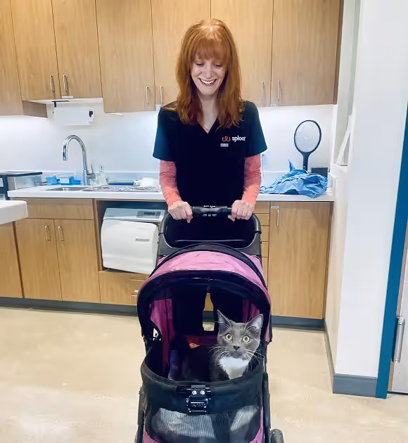  headshot of Dr. Jessica Apted, DVM, the compassionate Medical Director of Sploot