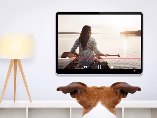 A dog watching a calming video, one of the ways to ease separation anxiety in dogs or treating separation anxiety in dogs