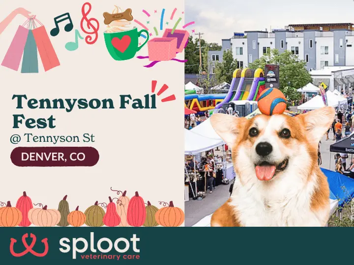 Join Sploot at Tennyson Street Fall Fest for live music, shopping, family fun, a paw-some pet parade and more!