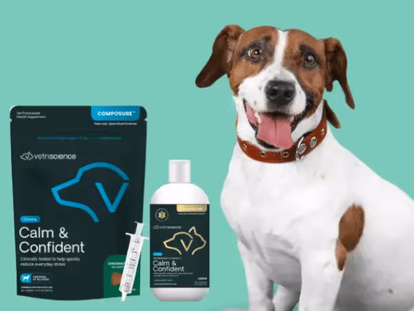 A dog sitting next to images of VetriScience ‘Calm & Confident Soft Chews’ and ‘Calm & Confident Liquid’, examples of calming treats for dogs