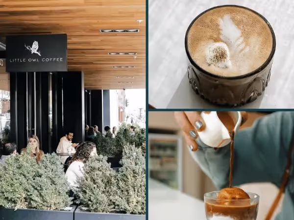 A collage showing the patio and coffee drinks of Little Owl Coffee Shop, a dog-friendly coffee shop in Denver