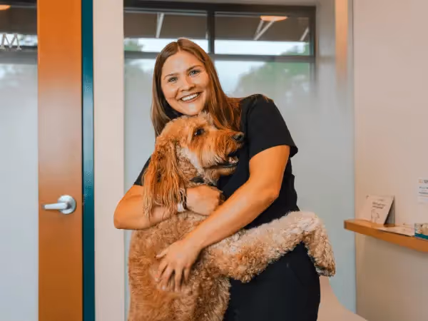 A dog getting a check-up at Sploot Veterinary Care, a vet clinic in Denver, with locations close to many dog-friendly coffee shops and cafes