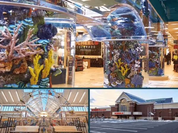 A collage showing the facade, aquarium, and Ferris wheel of Scheels Colorado Springs, a dog-friendly store
