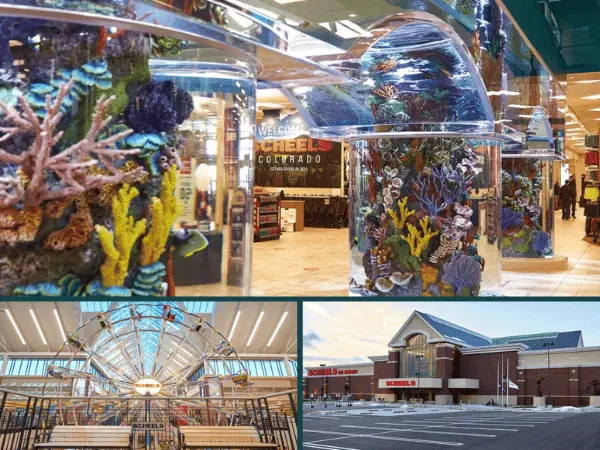 A collage showing the facade, aquarium, and Ferris wheel of Scheels Colorado Springs, a dog-friendly store