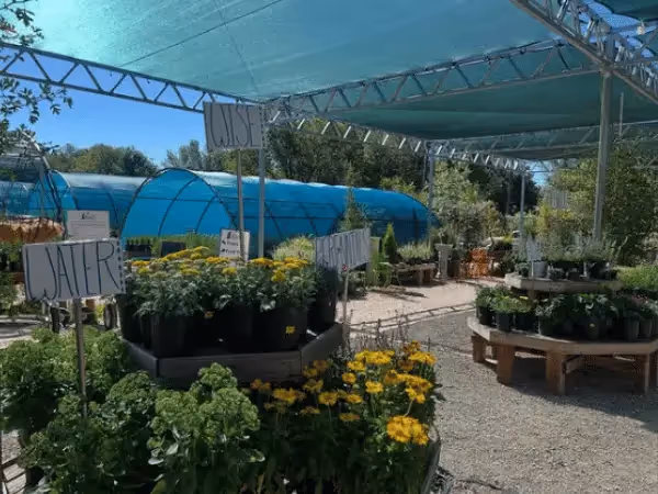 A photo of the entrance of Rick’s Garden Center, a dog-friendly store in Colorado Springs