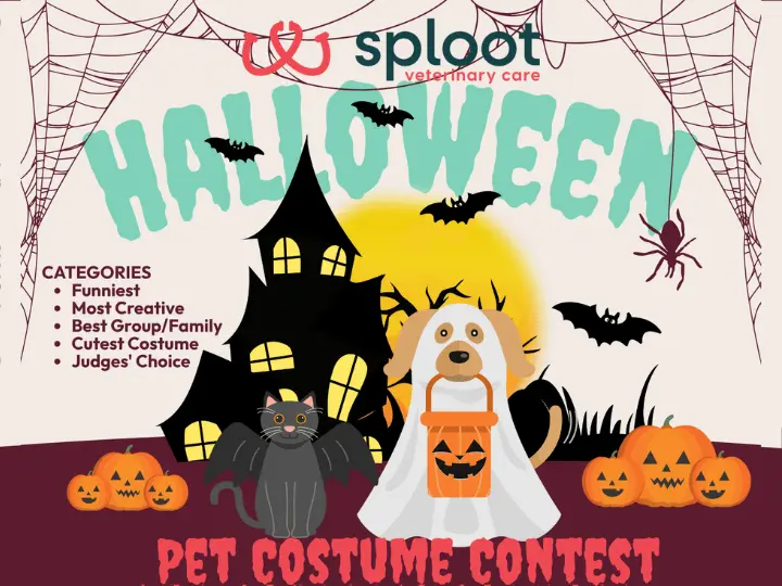 Join the Sploot Halloween Costume Contest! Enter your pet Oct 20–Nov 1 for prizes, fun, & more at all Sploot Vets Chicago locations!