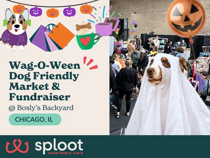Celebrate Wag-o-Ween Oct 25 at Bosly’s Backyard! Dogs, treats, vendors & fun for a great cause with Sploot Vets in Chicago!