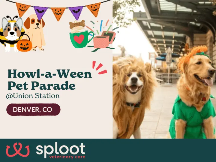 Howl-a-Ween Pet Parade (Oct 26)