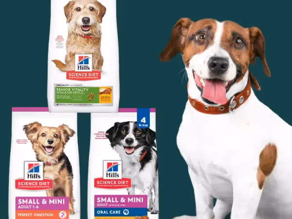 Examples of the best dry dog foods for small dogs from a trusted brand Hill’s Science Diet