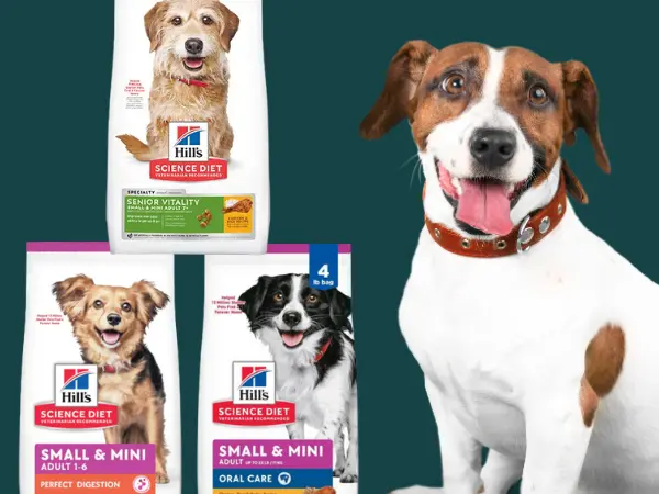 Examples of the best dry dog foods for small dogs from a trusted brand Hill’s Science Diet