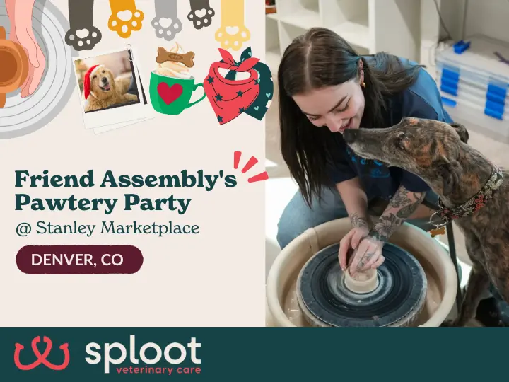 Celebrate the holidays with your pup at Stanley Marketplace! Make a clay pawprint ornament plus BARKcuterie boxes, photo ops, and fun with Sploot Vets!