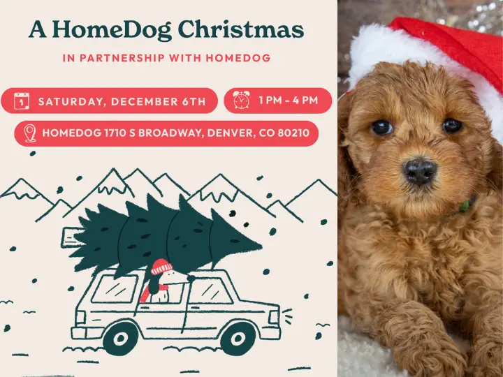 Join us at Sploot Vets for A Homedog Christmas! Enjoy pet photos with Santa, goodies, and holiday fun, all for a great cause!