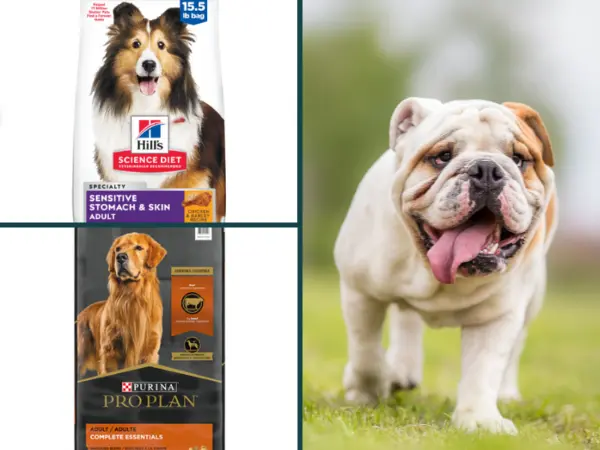 Best food for dogs with allergies that are non-prescription, with formulas that exclude chicken or beef