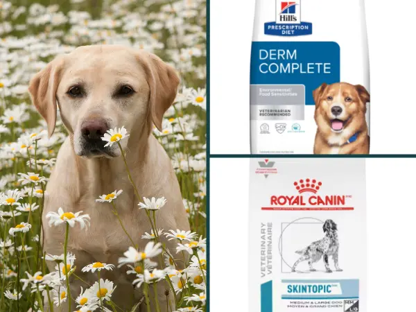 Dog food for allergies that support skin health from Hill’s and Royal Canin, beneficial for dogs with both food allergies and environmental or seasonal allergies