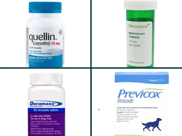 A collage showing various pain medications for dogs for general use, including carprofen, meloxicam, deracoxib, and firocoxib for dogs