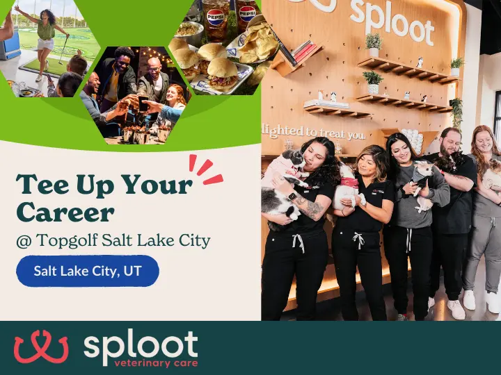 Explore career opportunities at Sploot & enjoy a fun evening of food, drink, & golf!