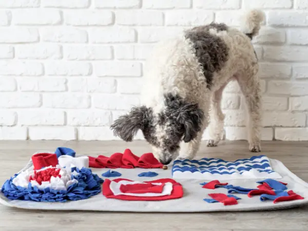 A dog eating from a snuffle mat, a type of slow feeder for dogs to help reduce dog reverse coughing and sneezing caused by eating too fast