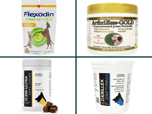 A collage showing joint supplements for cats, including Flexadin Advanced, ArthriEase Gold Powder, ZM-ULTRA Soft Chews, and Krillex Joint Formula for Cats