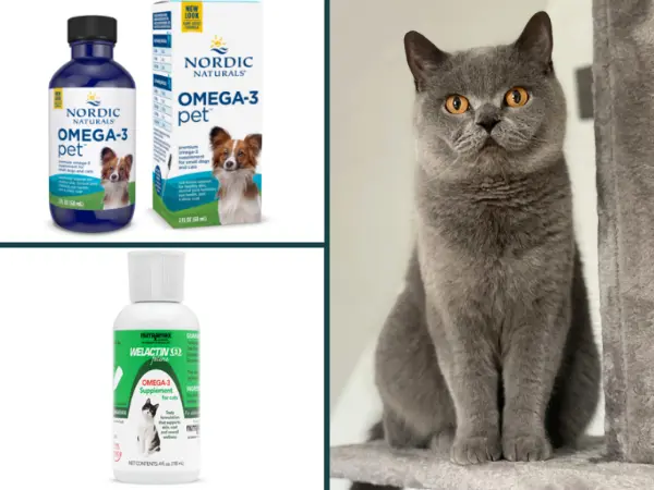 A collage showing cat with joint issues alon with cat joint supplements containing Omega-3, including Welactin Feline, Krillex Joint Formula, and Nordic Naturals for Cats