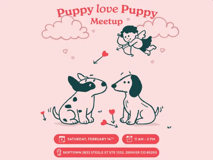 Find a friend for your puppy & meet like-minded pet parents in this exciting dog-friendly Denver event, happening in Skiptown!