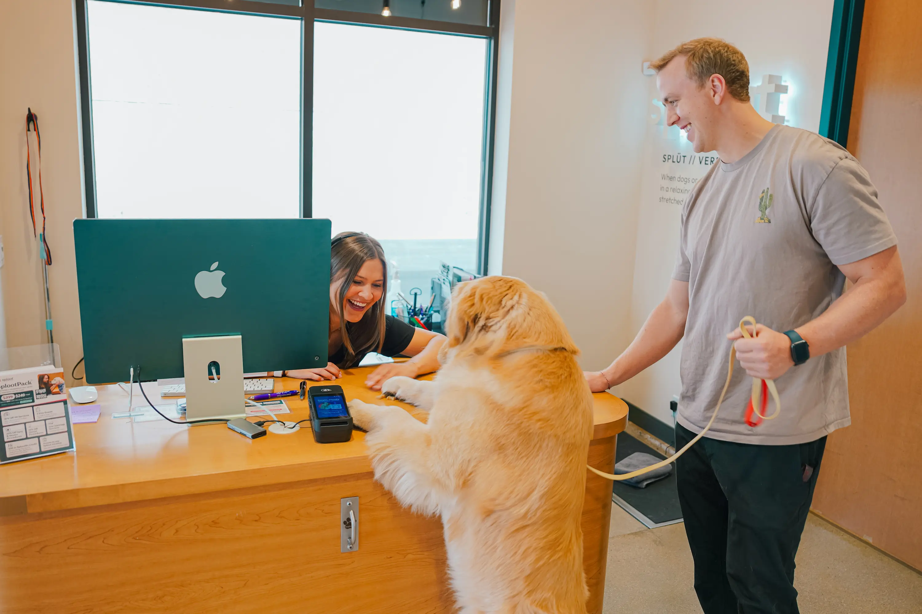 Sploot Veterinary Care - Greenwood