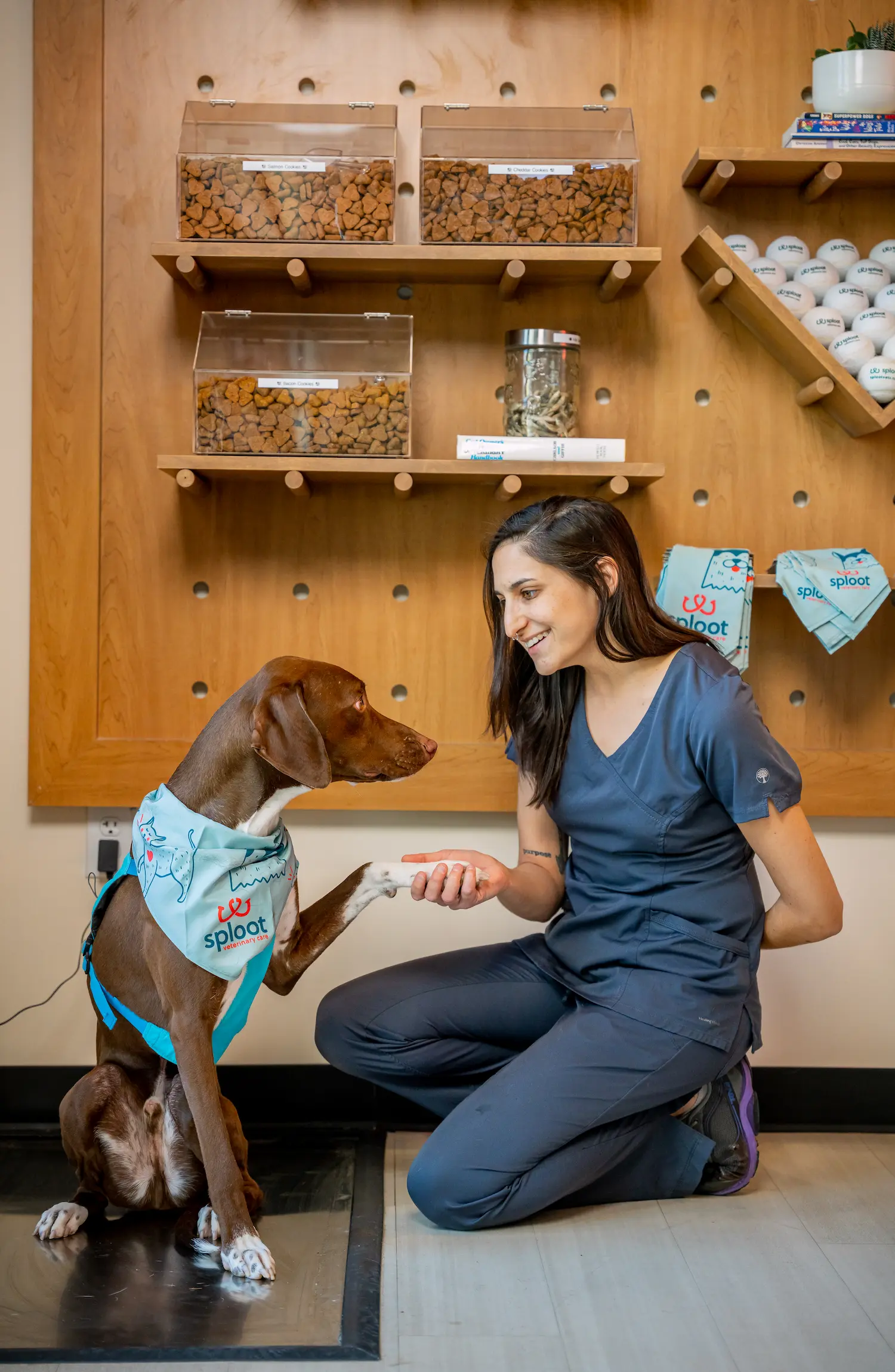Denver, Commons Park