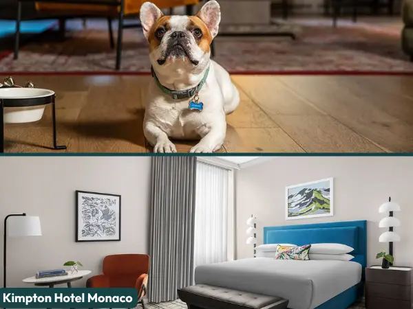 A collage of a dog-friendly room and the Guest Room at Kimpton Hotel Monaco, one of the dog-friendly hotels in Salt Lake City, Utah