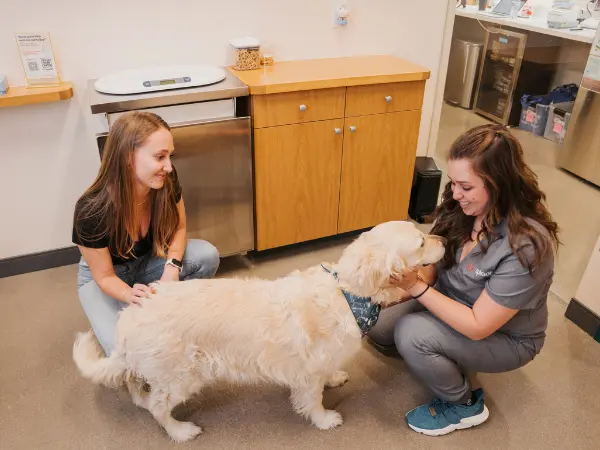 A pet parent taking their dog to a vet clinic for appropriate routine care, which can be beneficial for dog insurance