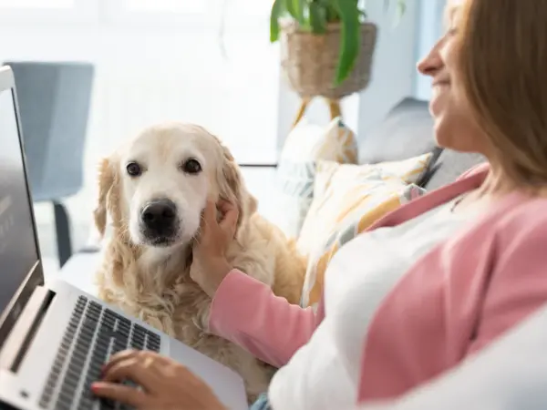 A dog sitting next to a pet parent using a laptop, representing researching about insurance for dogs and other way to financially prepare