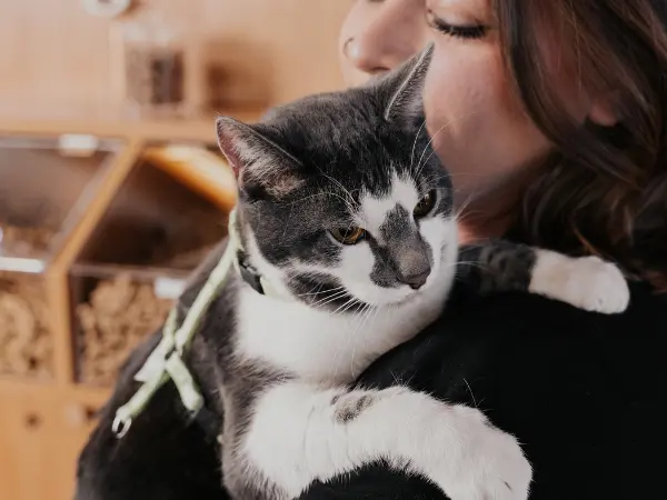 A photo of veterinary professional at Sploot hugging a cat, representing the protection of a fitting cat insurance policy