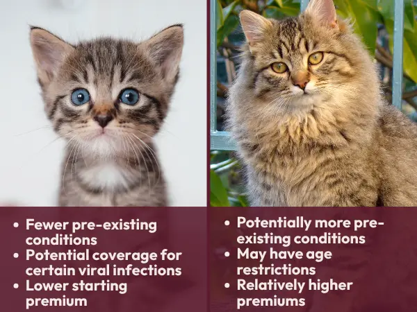 A simple infographic showing a side-by-side list of the benefits of getting cat insurance earlier next to the possible consequences of getting cat health insurance later