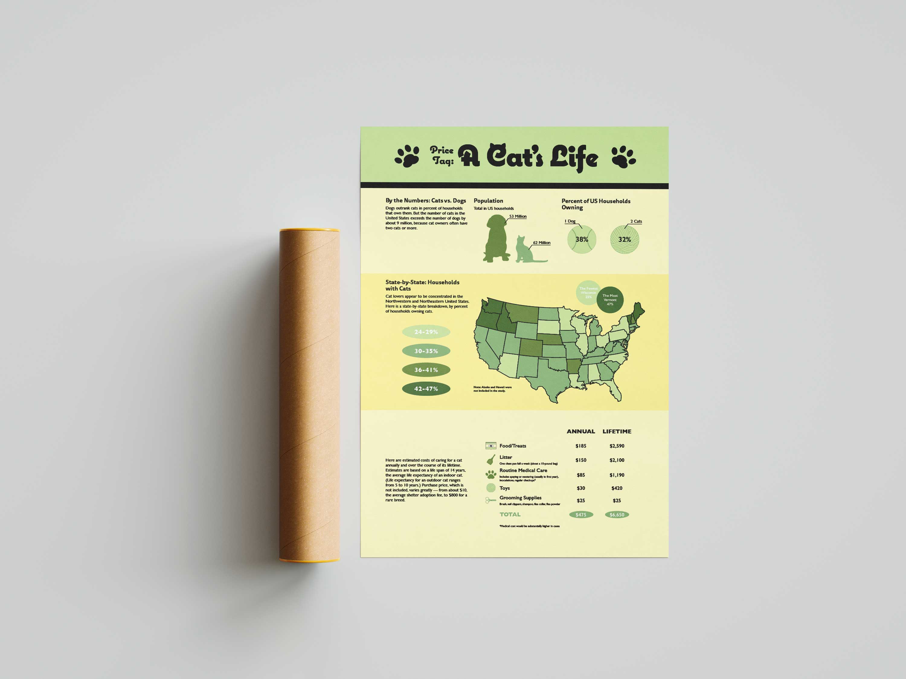Infographic Poster