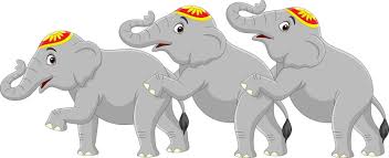 Three Immunological Elephants in the Public Health Room