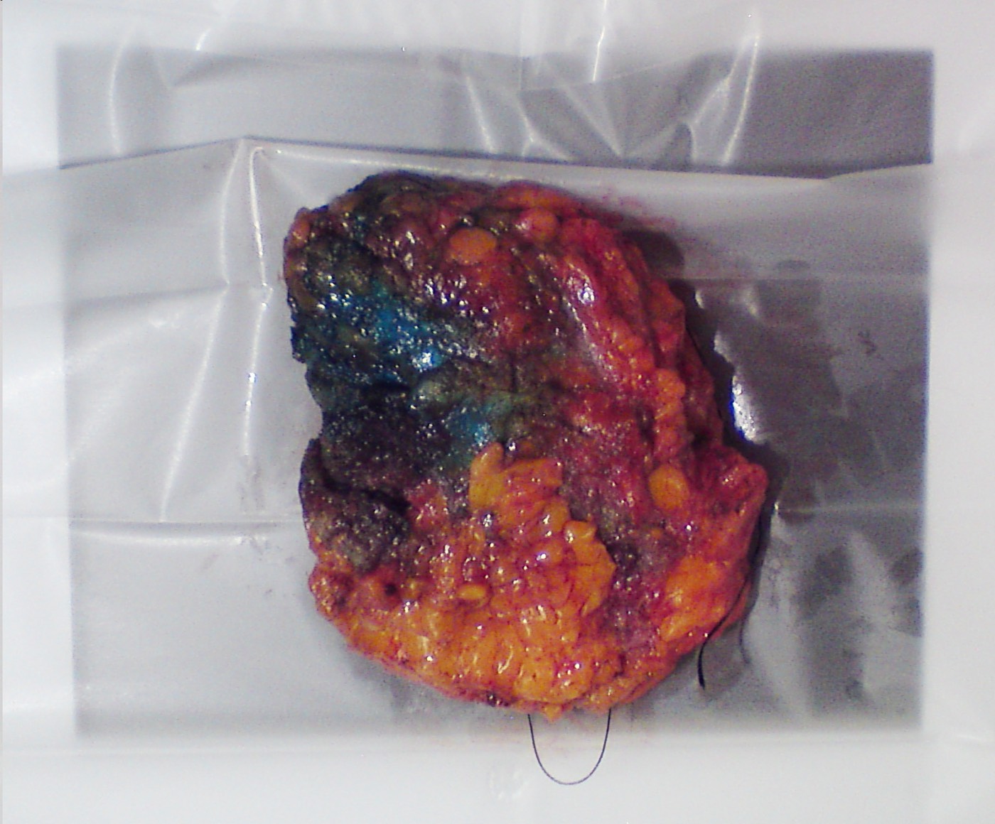 Specimen Optical