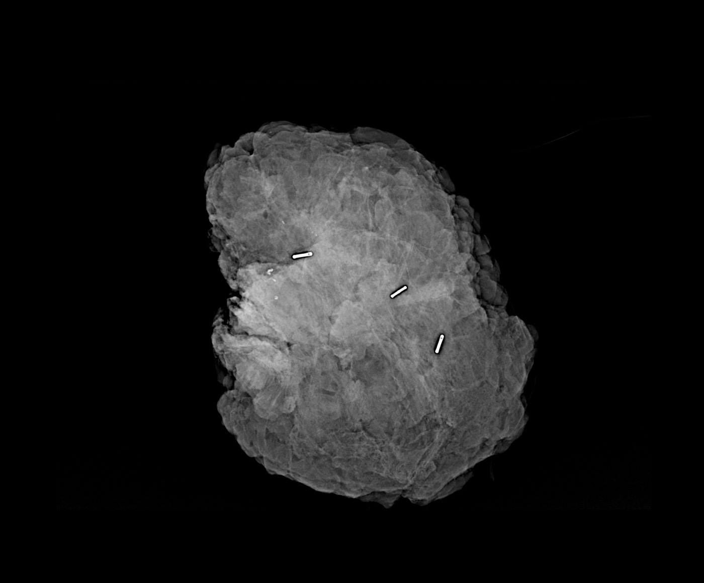Specimen X-Ray