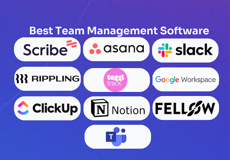 team management software