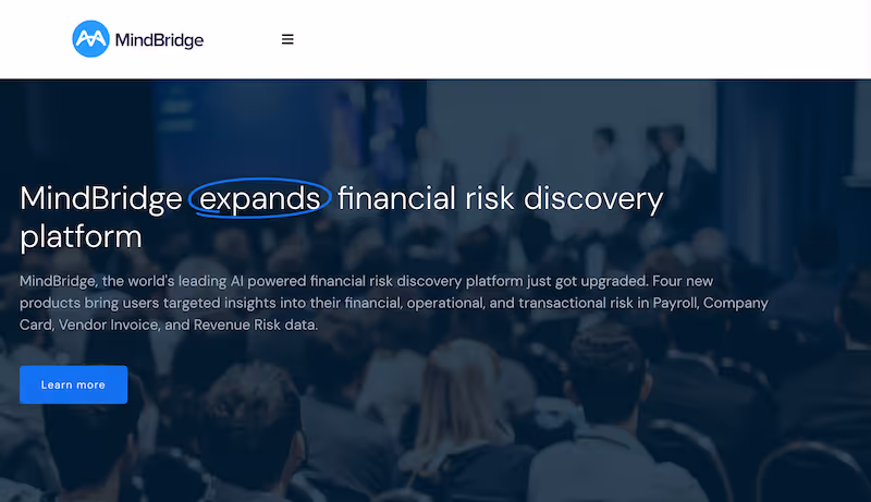 MindBridge - AI tools for accountants