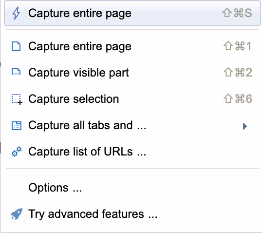 FireShot Screenshot Chrome Extension
