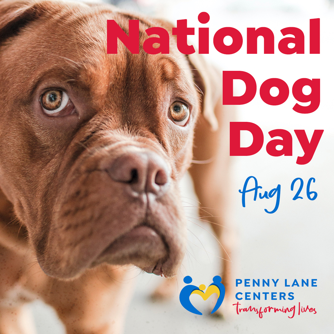 National Dog Day